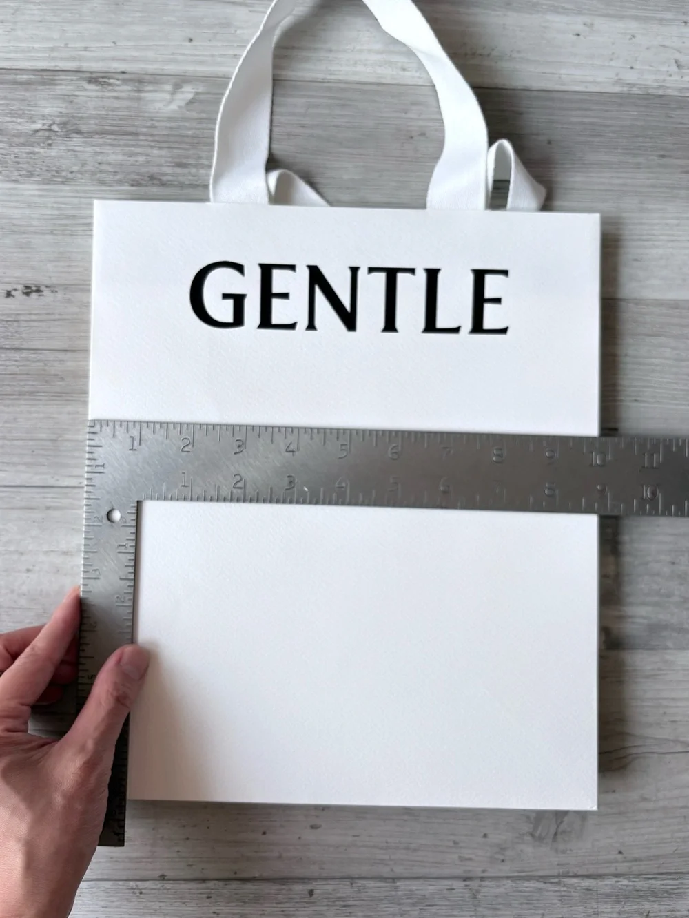 Gentle Monster White Paper Shopping Gift Bag